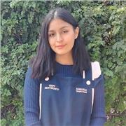 Clases personalizadas de caligrafía, lettering y dibujo | Desarrollo artístico y escritura clara